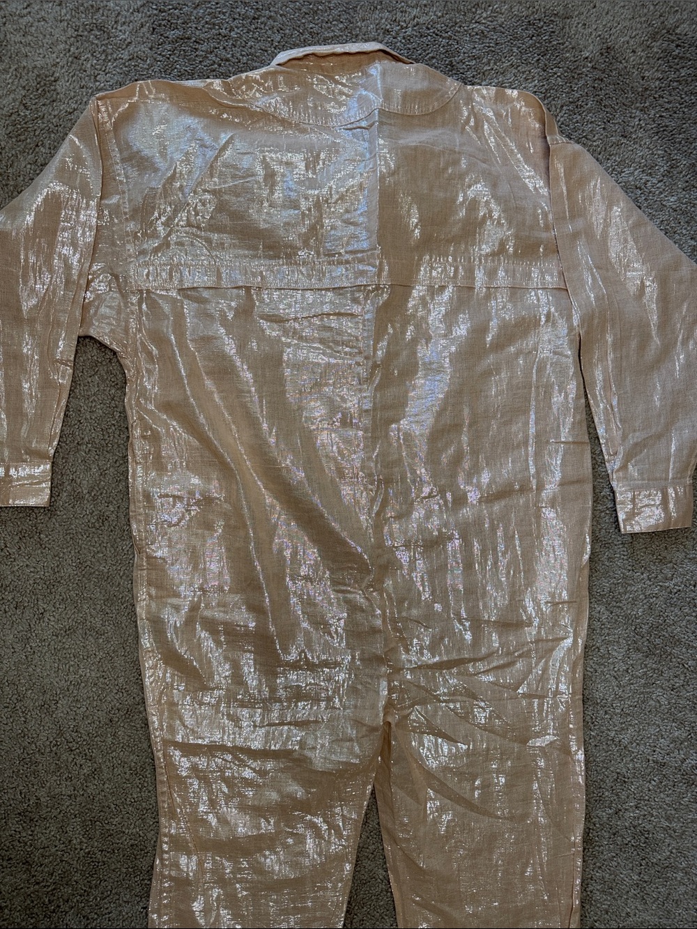 Suzi Kondi Metallic Champagne Blouse - Picture 5 of 5